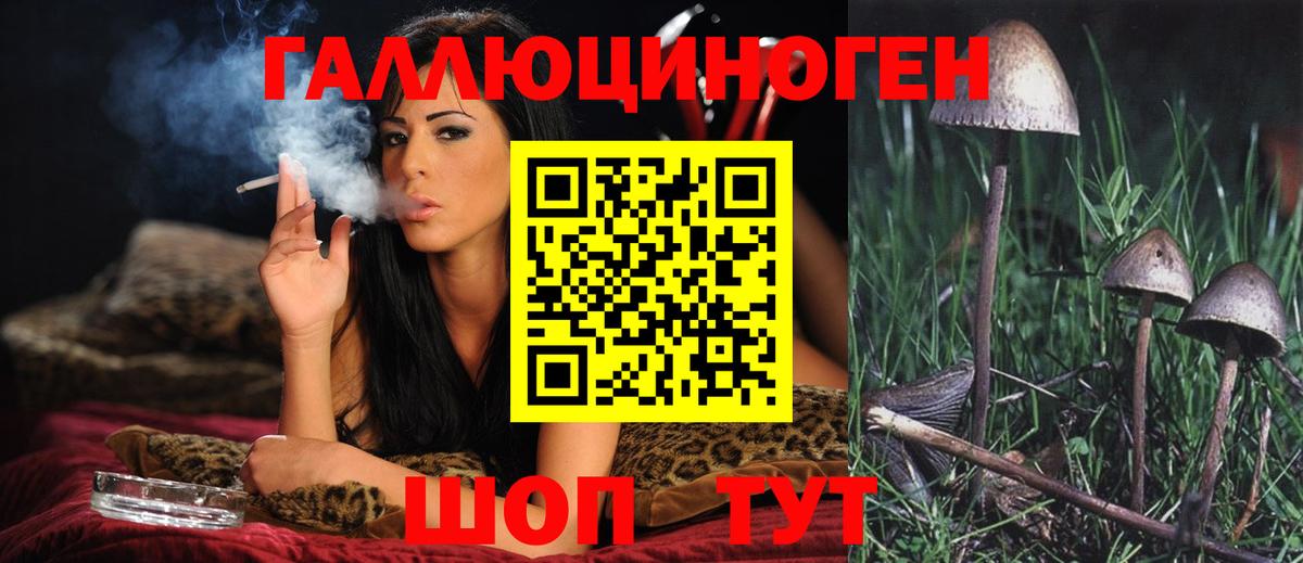 Псилоцибиновые грибы MAGIC MUSHROOMS  Вход с VPN  Белгород 