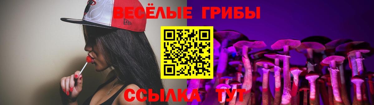 Галлюциногенные грибы Psilocybe Белгород